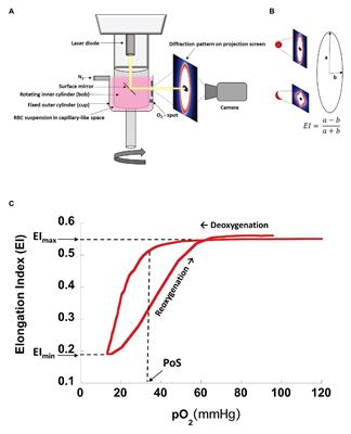 Automated Oxygen Gradient Ektacytometry: A Novel Biomarker in Sickle Cell Anemia